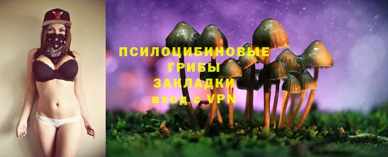 Галлюциногенные грибы MAGIC MUSHROOMS  Кирово-Чепецк 